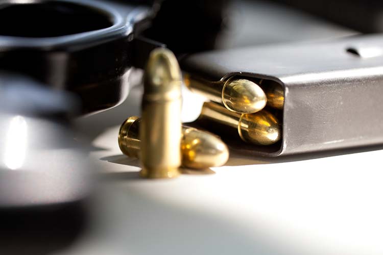 Weapons Firearms Charges Weapons Firearms Charges